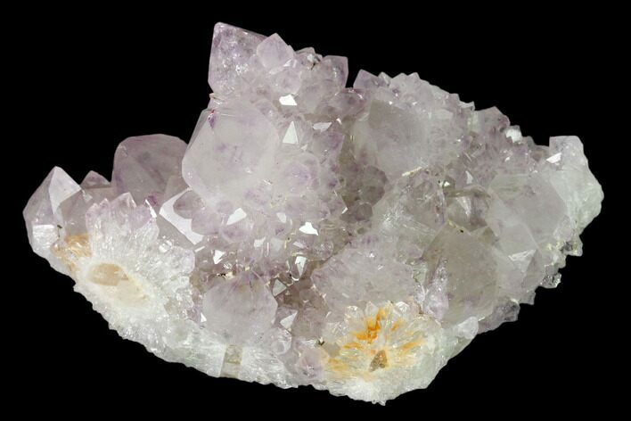 Cactus Quartz (Amethyst) Crystal Cluster - South Africa #137808